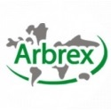 ARBREX